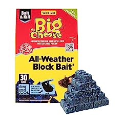 Big cheese weather for sale  Delivered anywhere in UK