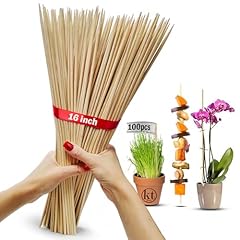 100 pack bamboo for sale  Delivered anywhere in USA 