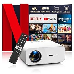 Beamer netflix fficial gebraucht kaufen  Wird an jeden Ort in Deutschland