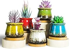 ARTKETTY Succulent Plant Pots, 7.8CM Ceramic Succulent for sale  Delivered anywhere in UK