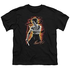 Bruce lee dragon for sale  Delivered anywhere in USA 