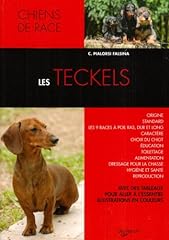 Teckel d'occasion  Livré partout en Belgiqu