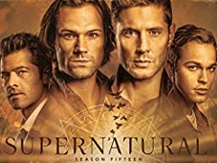 Supernatural season 15 usato  Spedito ovunque in Italia 