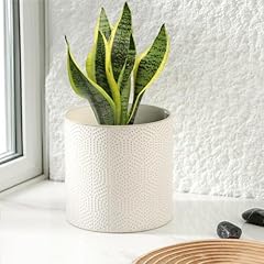 Ubee ceramic plant for sale  Delivered anywhere in USA 