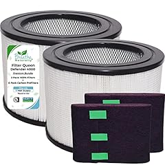 Replacement hepa filters for sale  Delivered anywhere in USA 