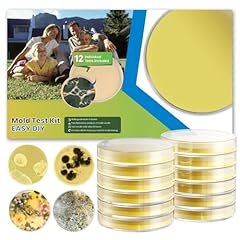 Mold test kit for sale  Delivered anywhere in USA 