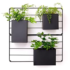 Kassell vertical garden for sale  Delivered anywhere in USA 
