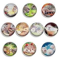 Cairiac refrigerator magnets for sale  Delivered anywhere in USA 