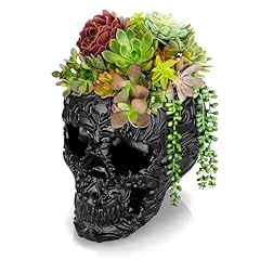 Ownmy resin skull for sale  Delivered anywhere in USA 