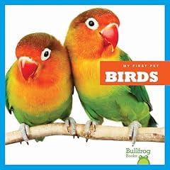 Birds for sale  Delivered anywhere in USA 