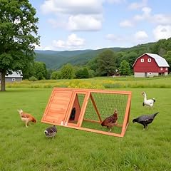 Chicken coop chickens for sale  Delivered anywhere in USA 