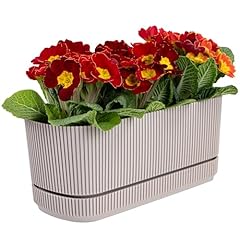 Konzept blumenkasten klein gebraucht kaufen  Wird an jeden Ort in Deutschland