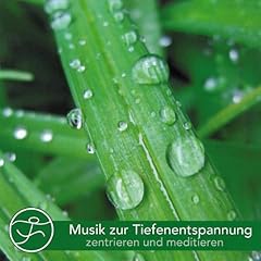 Musik zur tiefenentspannu d'occasion  Livré partout en France