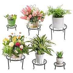 Pack outdoor plant for sale  Delivered anywhere in UK