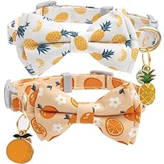 Faygarsle pack cute for sale  Delivered anywhere in USA 