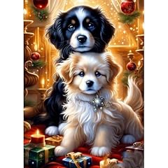 Qenspe diamond painting gebraucht kaufen  Wird an jeden Ort in Deutschland