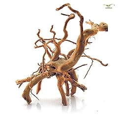 Spiderwood größe 50 gebraucht kaufen  Wird an jeden Ort in Deutschland