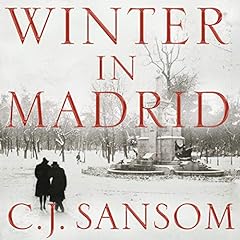 Winter madrid for sale  Delivered anywhere in UK