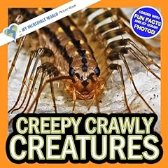 Creepy crawly creatures for sale  Delivered anywhere in UK