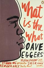 Dave eggers autobiography for sale  Delivered anywhere in UK