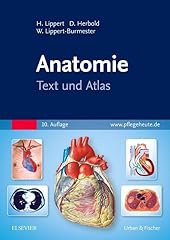 Anatomie text atlas gebraucht kaufen  Wird an jeden Ort in Deutschland