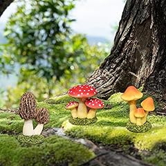 Letcdfer fairy garden for sale  Delivered anywhere in UK