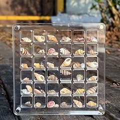 Acrylic seashell display for sale  Delivered anywhere in USA 