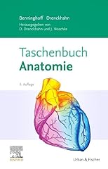 Taschenbuch anatomie gebraucht kaufen  Wird an jeden Ort in Deutschland