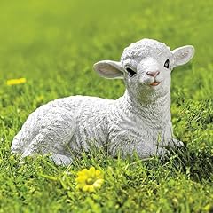Coopers stortford lamb for sale  Delivered anywhere in UK