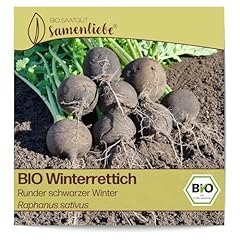 Samenliebe bio winterrettich gebraucht kaufen  Wird an jeden Ort in Deutschland
