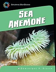 Sea anemone for sale  Delivered anywhere in Ireland