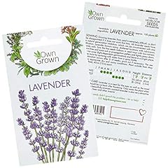 Lavender plant seeds for sale  Delivered anywhere in UK