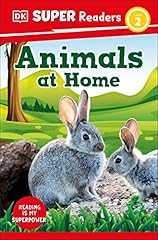 Super readers level for sale  Delivered anywhere in USA 