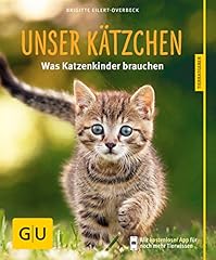 Kätzchen katzenkinder brauche gebraucht kaufen  Wird an jeden Ort in Deutschland