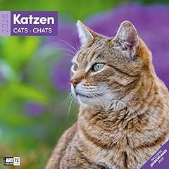 Katzen broschürenkalender 202 gebraucht kaufen  Wird an jeden Ort in Deutschland
