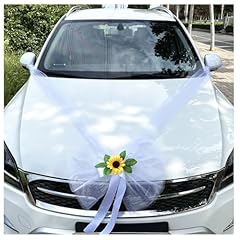 Decorazione per auto usato  Spedito ovunque in Italia 