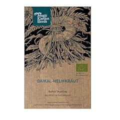 Baikal helmkraut chinesisches gebraucht kaufen  Wird an jeden Ort in Deutschland