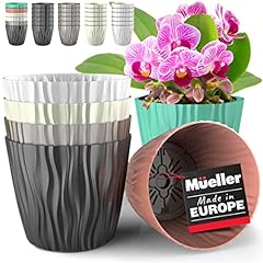 Mueller austria plant for sale  Delivered anywhere in USA 