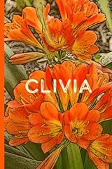 Clivia natal lily for sale  Delivered anywhere in USA 