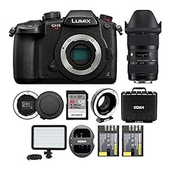 Panasonic lumix gh5s for sale  Delivered anywhere in USA 