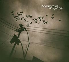Winged life import d'occasion  Livré partout en France