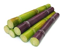 Fresh sugar cane for sale  Delivered anywhere in USA 