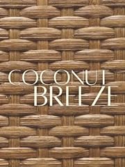Coconut breeze decorative for sale  Delivered anywhere in USA 