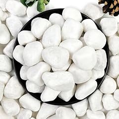 Yiszm 5lb white for sale  Delivered anywhere in USA 