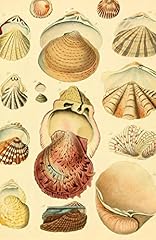 Beachcomber journal d'occasion  Livré partout en France