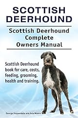 Scottish deerhound. scottish for sale  Delivered anywhere in UK