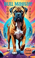 Bull mastiff pocket for sale  Delivered anywhere in UK