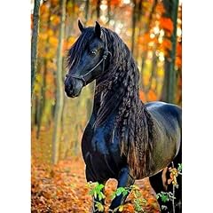 Daerle beautiful horse for sale  Delivered anywhere in UK
