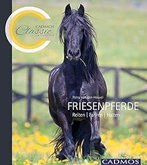 Friesenpferde reiten fahren gebraucht kaufen  Wird an jeden Ort in Deutschland