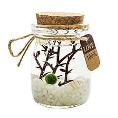 Omem marimo boule d'occasion  Livré partout en Belgiqu